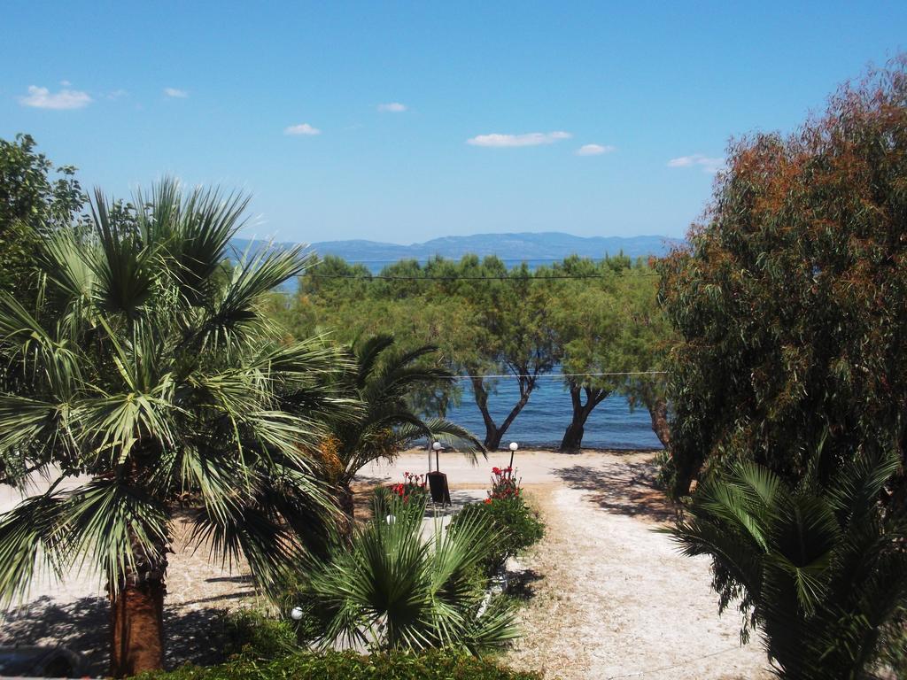 Rooms To Let To Kyma Skala Sikamineas Skala Sykamineas Room photo